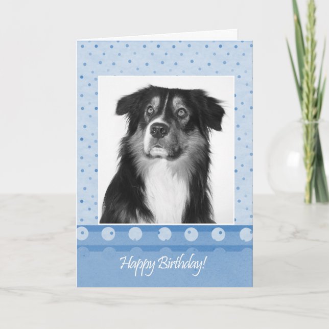 Niedliche Australische Schäferhund Happy Birthday  Karte (Vorderseite)