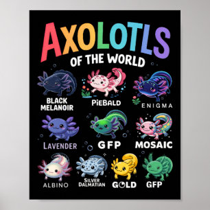 Niedliche Axolotls der Welt Kawaii Axolotl Niedlic Poster