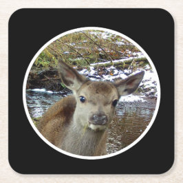 Niedliche Baby-Deer-Posen für den Untersetzer Came