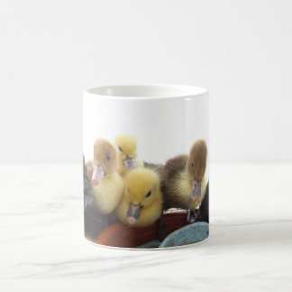 Niedliche Baby-Enten Tasse