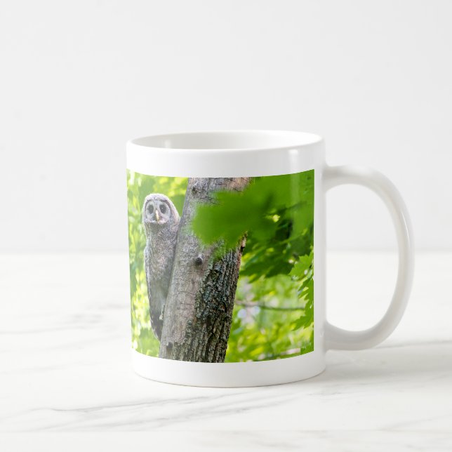 Niedliche Baby-Eule Tasse (Rechts)