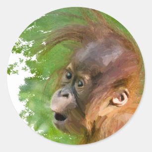 Niedliche Baby-Orang-Utan schaut sich im Staunen a Runder Aufkleber