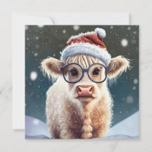 Niedliche Babyhochlandkuh im Schnee