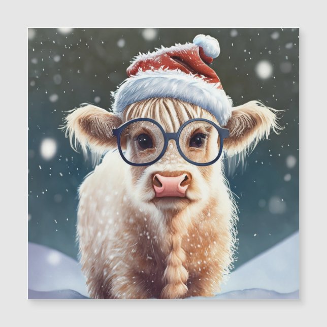 Niedliche Babyhochlandkuh im Schnee Magnetkarte (Vorderseite)