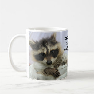 Niedliche Babyraccoon-Kaffee-Tasse, Muss Haz Tasse