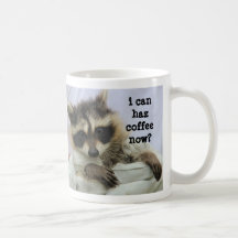 Niedliche Babyraccoon-Tasse, kann ich haz Kaffee