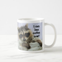 Niedliche Babyraccoon-Tasse, kann ich haz Kaffee Tasse