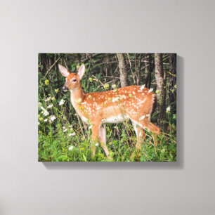 Niedliche Babytiere Fawn Deer Canvas drucken Leinwanddruck