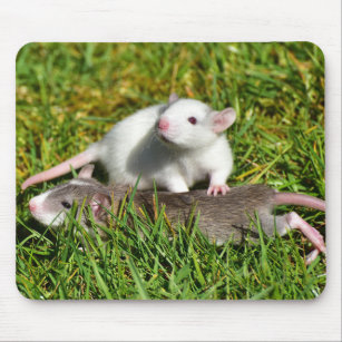 Niedliche Babytorenmatratzen im Gras Mousepad