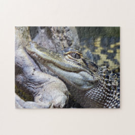 Niedliche Backencreme Puzzle