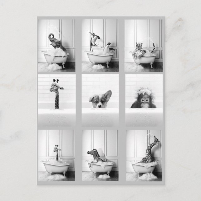 Niedliche Bademäntel in der Badewanne Postkarte (Vorderseite)