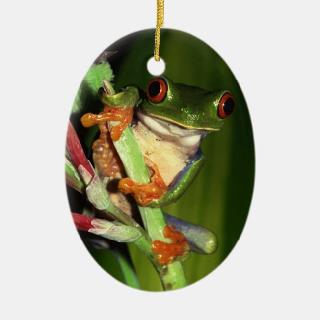 Niedliche Baum-Froschverzierung Keramik Ornament (Vorne)