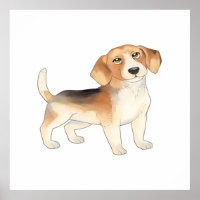 Niedliche Beagle Hundebilder