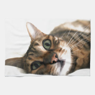 Niedliche bengalische Katze im Bett-Bild Handtuch
