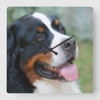 Niedliche Berner Wall Uhr