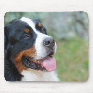 Niedliche Bernese Mausunterlage Mousepad