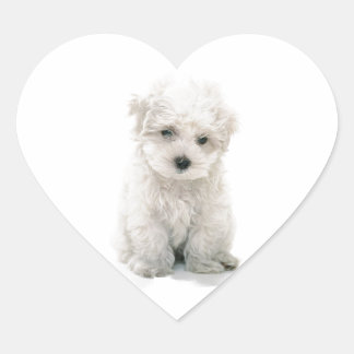 Niedliche Bichon-Aufkleber Herz-Aufkleber