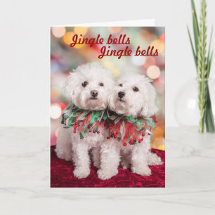 Niedliche Bichon Frise-Hunde Weihnachtskarte Feiertagskarte