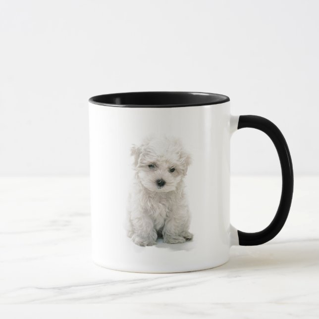Niedliche Bichon Frise Kaffee-Tasse Tasse (Rechts)
