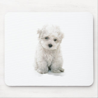 Niedliche Bichon Frise Mausunterlage Mousepad