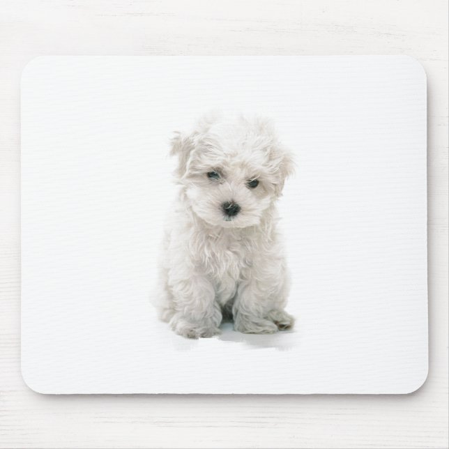 Niedliche Bichon Frise Mausunterlage Mousepad (Vorne)