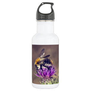 Niedliche Biene auf einer Distel Trinkflasche