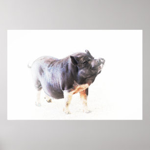 Niedliche Big Pig Farm Art Poster