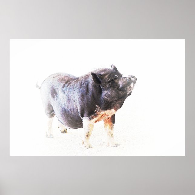 Niedliche Big Pig Farm Art Poster (Vorne)