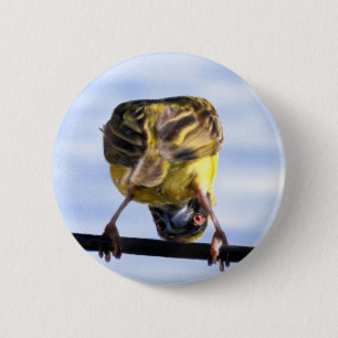 Niedliche Birdie-Knöpfe Button