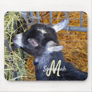 Niedliche Black Baby Goat Eating Hay Foto Monogram Mousepad
