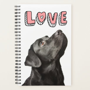 Niedliche Black Lab Puppy Hund Liebe Labrador Retr Planer