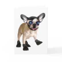 Niedliche Blankenkarte