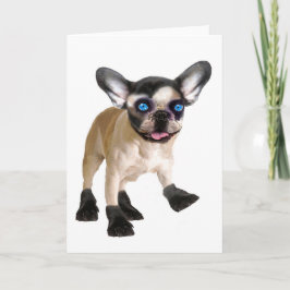 Niedliche Blankenkarte Karte