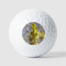 Niedliche Blätter im Frühling Foto Golfball