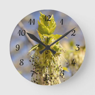Niedliche Blätter im Frühling Foto Runde Wanduhr