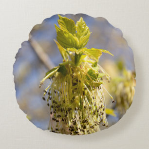 Niedliche Blätter im Frühling Foto Rundes Kissen