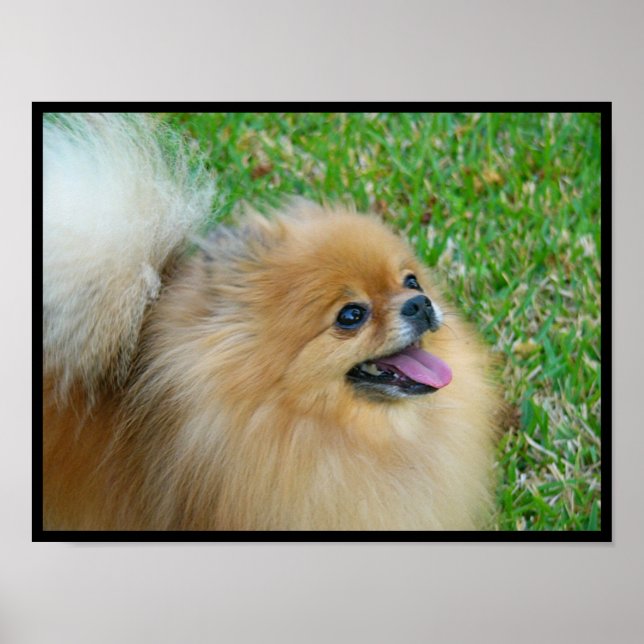 Niedliche Blondine Poster (Vorne)