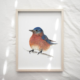 Niedliche Bluebird-Farbe Kunst drucken Poster
