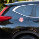 Niedliche Blume des rosa hawaiianischen Hibiskus Aufkleber (Car Back)