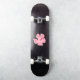 Niedliche Blume des rosa hawaiianischen Hibiskus Aufkleber (Skateboard)