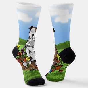 Niedliche Blume Gardener Pit Bull (lt brindle whit Socken