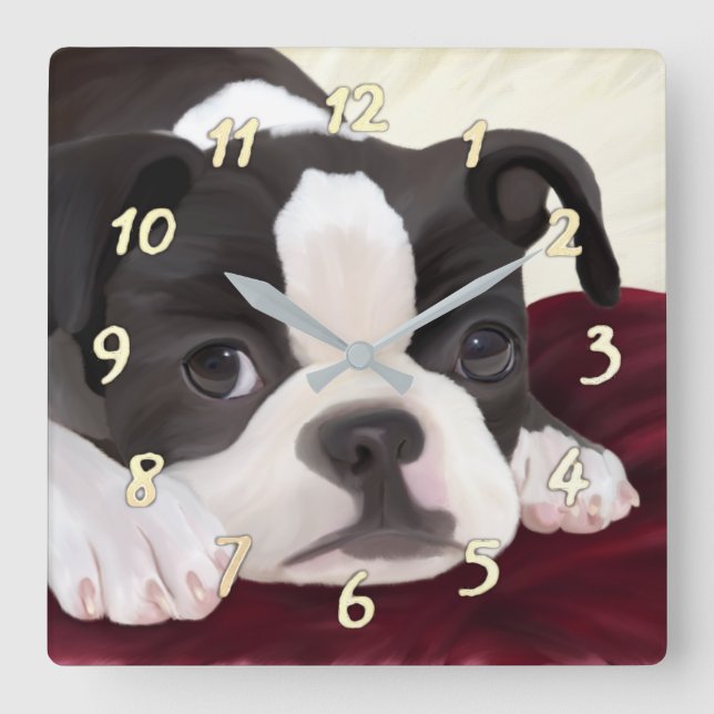 Niedliche Bostoner Terrier-Wanduhr Quadratische Wanduhr (Vorderseite)