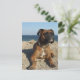 Niedliche Boxer Dog Postkarte (Stehend Vorderseite)