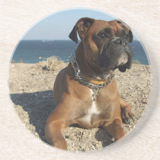 Niedliche Boxer-HundeUntersetzer Sandstein Untersetzer