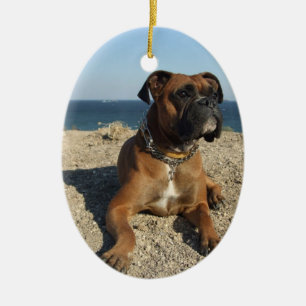 Niedliche Boxer-Hundeverzierung Keramikornament