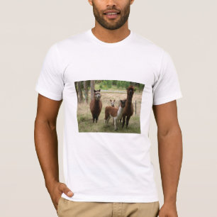 Niedliche Brown-Alpakas im Zoo T-Shirt