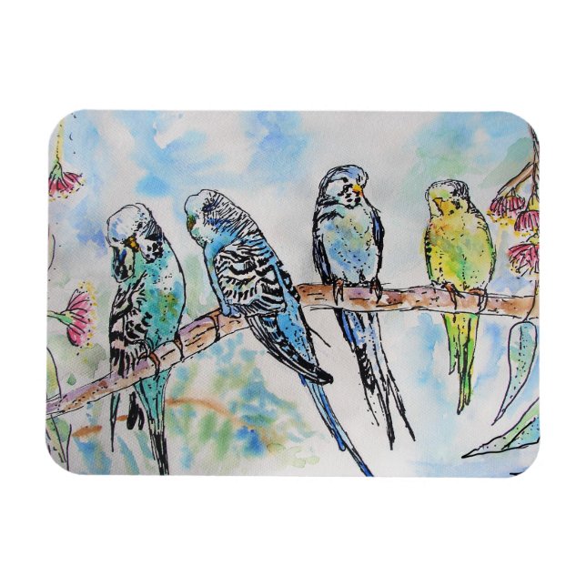 Niedliche Budgie Budgethilfen Vogel Wasserfarben K Magnet (Horizontal)