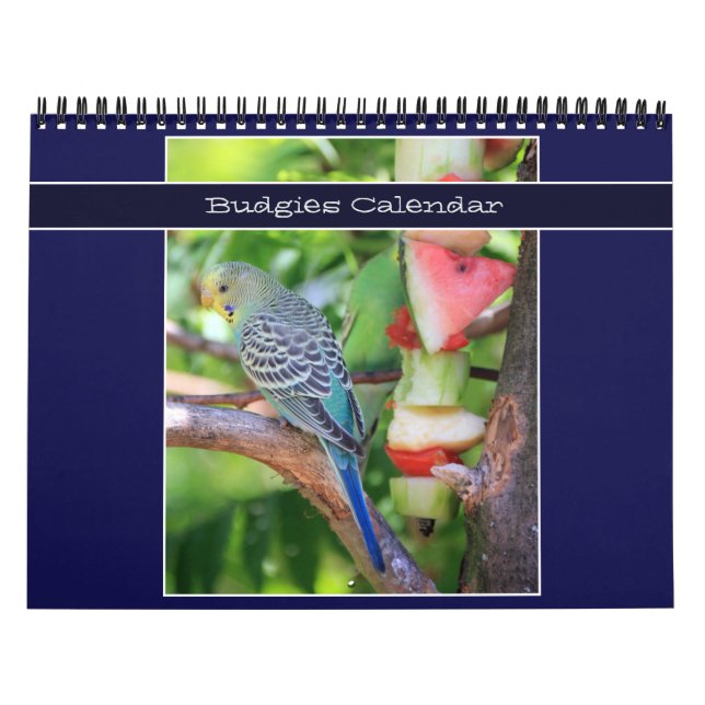 Niedliche Budgie-Papagei-Fotografie 2026 Vögel Kalender (Titelbild)