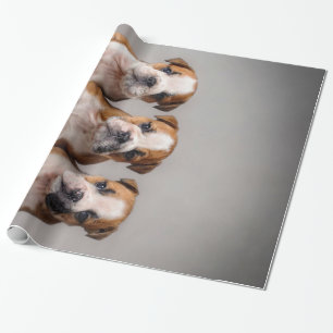 Niedliche Bulldoggen Welpen Dog Lovers Gift Geschenkpapier