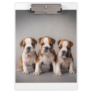 Niedliche Bulldoggen Welpen   Dog Lovers Gift Klemmbrett
